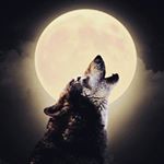 Profile Picture of Michael Teems (@teemsm) on Instagram