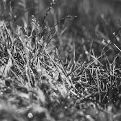 Profile Picture of David Harrington (@davidharrington8138) on Youtube