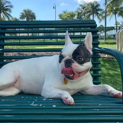 Profile Picture of Matthew Spradling (@Just_Sprad) on Twitter