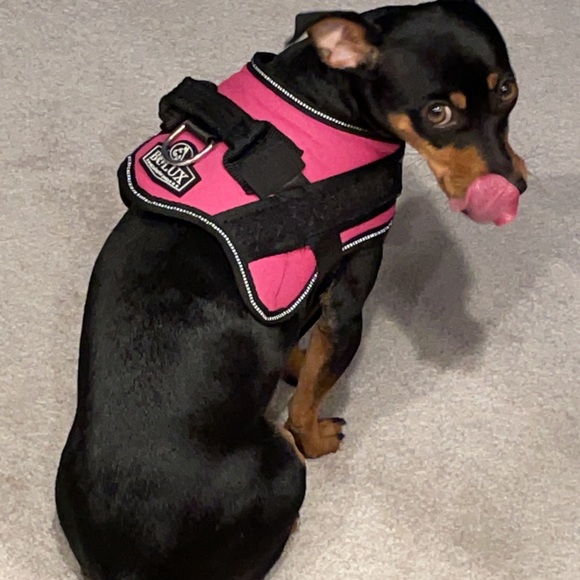 Profile Picture of Veronica Bryant (@vbryant5413) on Poshmark