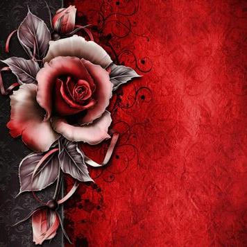 Josue Trinidad - Twitter Profile Picture of Josue Trinidad (@josuetri87) on Twitter