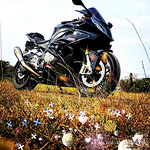 Profile Picture of Arun David (@arundavid3) on Flickr