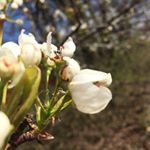 Profile Picture of Tori Grant (@tori.g.photography) on Instagram