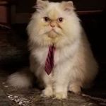 Profile Picture of mason Joseph sealey (@smasonjoseph) on Instagram