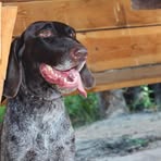 Profile Picture of Anastasiya Rudenko (@anastasiya.rudenko.127) on Facebook