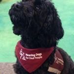 Profile Picture of Mark Pegg (@mark.pegg) on Instagram