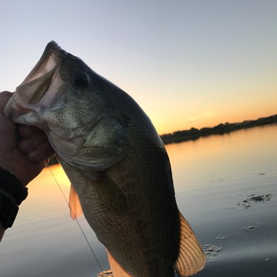 Profile Picture of Natertackledthegator (@NateStandley) on Twitter