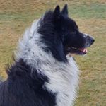 Profile Picture of Robin von der Schatzinsel Elo (@elorobinvonderschatzinsel) on Instagram