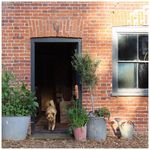 Profile Picture of Mark & Louisa Sugden (@sugdenanddaughters) on Instagram