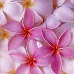 Profile Picture of :) (@viola.schneider54321) on Instagram