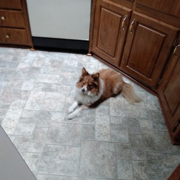 Profile Picture of John Sollars (@johnsollars94) on Poshmark