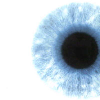 Profile Picture of Erik Huggler (@BlackbirdK) on Twitter