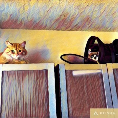 Profile Picture of CHRIS CAPOBIANCO (@PAXTECUM777) on Twitter