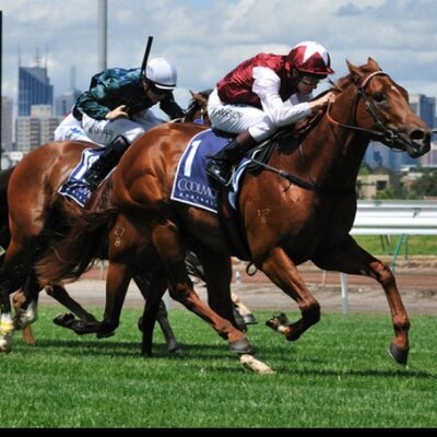 Profile Picture of Anthony Nesci (@anthnesci) on Twitter