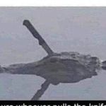 Mason Swanner - Instagram Profile Picture of Mason Swanner (@mason.swanner) on Instagram