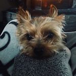 Profile Picture of Jacky Taylor (@goodboy_jackyt) on Instagram