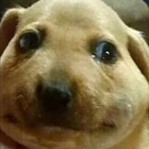 Profile Picture of Anthony Thomasch (@ant607) on Poshmark