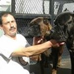 Profile Picture of Mario Viveiros (@marioviveiros68) on Instagram