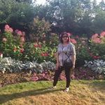 Profile Picture of Rose Ancona (@roseancona) on Instagram