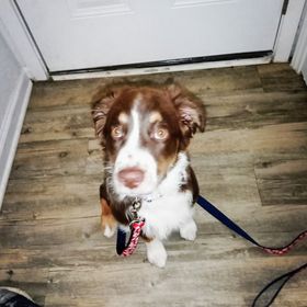 Profile Picture of Robinkunkle (@robinkunkle1010) on Pinterest