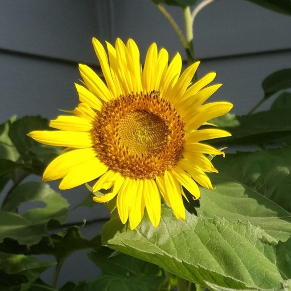 Profile Picture of Michelle Breese (@mbreese28) on Poshmark