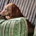 Profile Picture of Ronald Pendleton II (@ronsterion) on Pinterest