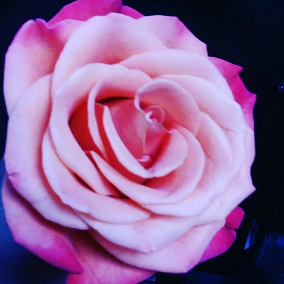 Profile Picture of Nikia Smith (@lovinlifesmith) on Poshmark