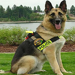 Profile Picture of Tiddle Bammer (@spyman75) on Flickr