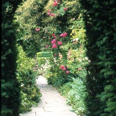 Profile Picture of Sapna George (@Rosa396) on Twitter