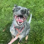 Profile Picture of Alexander Azzaro (@alexander.azzaro) on Facebook