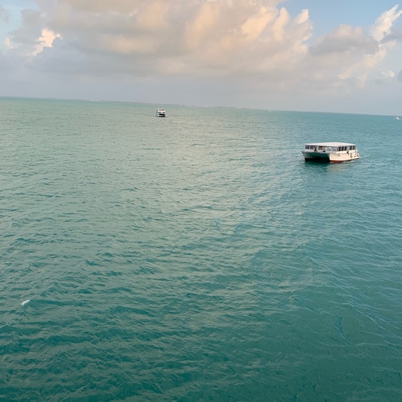 Profile Picture of Claire Bloxham (@clairebloxham) on Poshmark