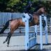 Profile Picture of Roz Daniels (@roz.daniels.3) on Facebook