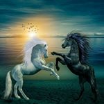 Profile Picture of Ram Tripathi (@tripathiram17) on Instagram