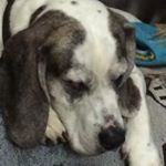 Profile Picture of hurdguy (@hurdguy) on Instagram