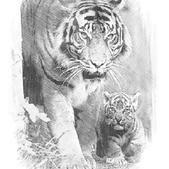 Profile Picture of Edward Boyer (@ecbjr_) on Poshmark