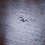 Profile Picture of Tanner Walters (@ayee_itz_tanner) on Instagram