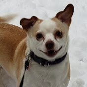 Profile Picture of Carol Gallihugh (@GMA5703) on Youtube