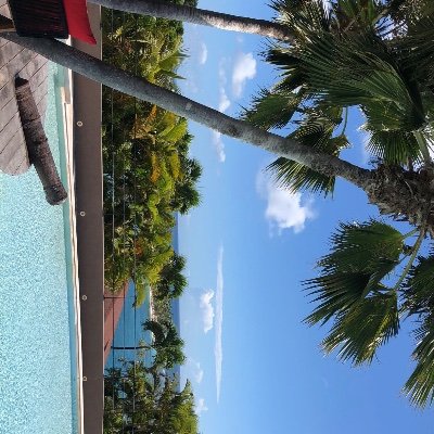 T A L Y S S A - Twitter Profile Picture of T A L Y S S A (@@Talyssa_Talou) on Twitter