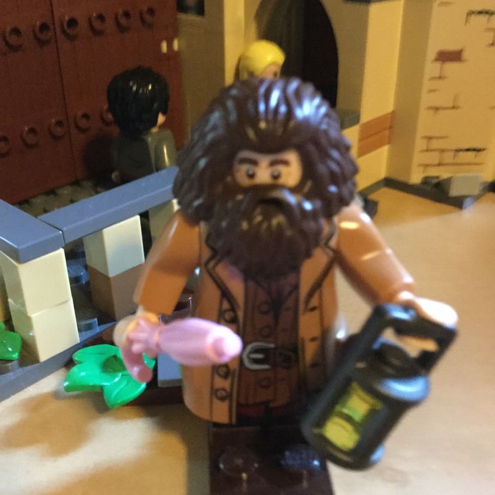 Profile Picture of leviabrams123 (@leviabrams12361) on Tiktok