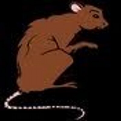 Profile Picture of Robert Trew (@RobertTrew6798) on Twitter