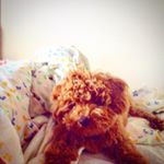 Profile Picture of Neo (@neo_theodore_thomas) on Instagram