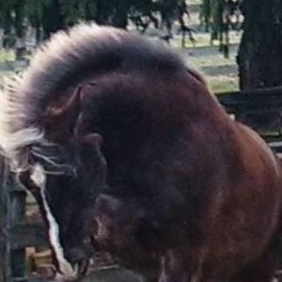 Profile Picture of Rene Spencer (@daniel3indygeym) on Poshmark