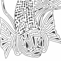 Profile Picture of Matthews Mazes (@matthews-mazes) on Quora