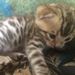 Profile Picture of Amy Mcmurray (@amymcmurray120) on Pinterest