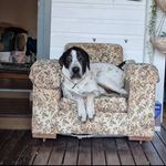 Profile Picture of Marcus Crouch (@dirty_stinken_mullet) on Instagram