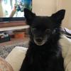 Profile Picture of traciewalls449 (@@traciewalls449) on Tiktok