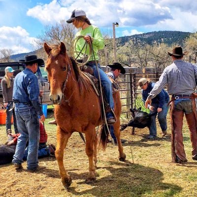 Profile Picture of Libby Olson (@Libbyolson) on Twitter
