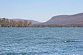 Profile Picture of Otisco Lakeon Wikipedia