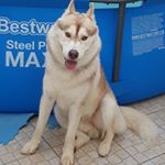 Profile Picture of tom gaspar (@gaspar_tom) on Instagram