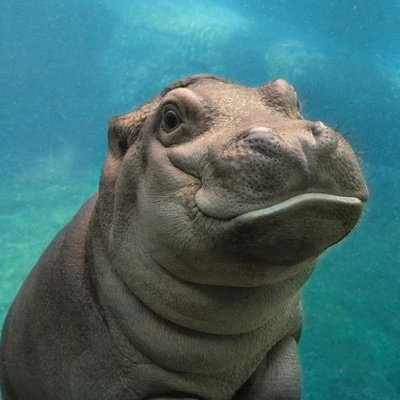 Scott Ridley - Twitter Profile Picture of Scott Ridley (@scottridley) on Twitter